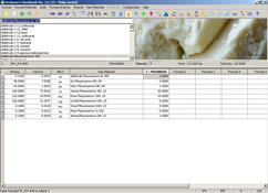 PW_JOY Formula Seen In Column 1